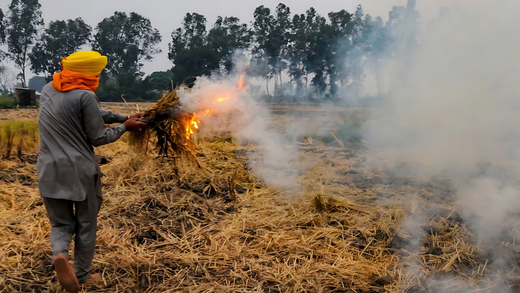 Stop paddy stubble burning