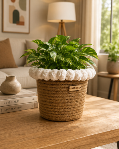Crochet Planter With Cotton Pom-Poms (5.5"D x 5.5"H)