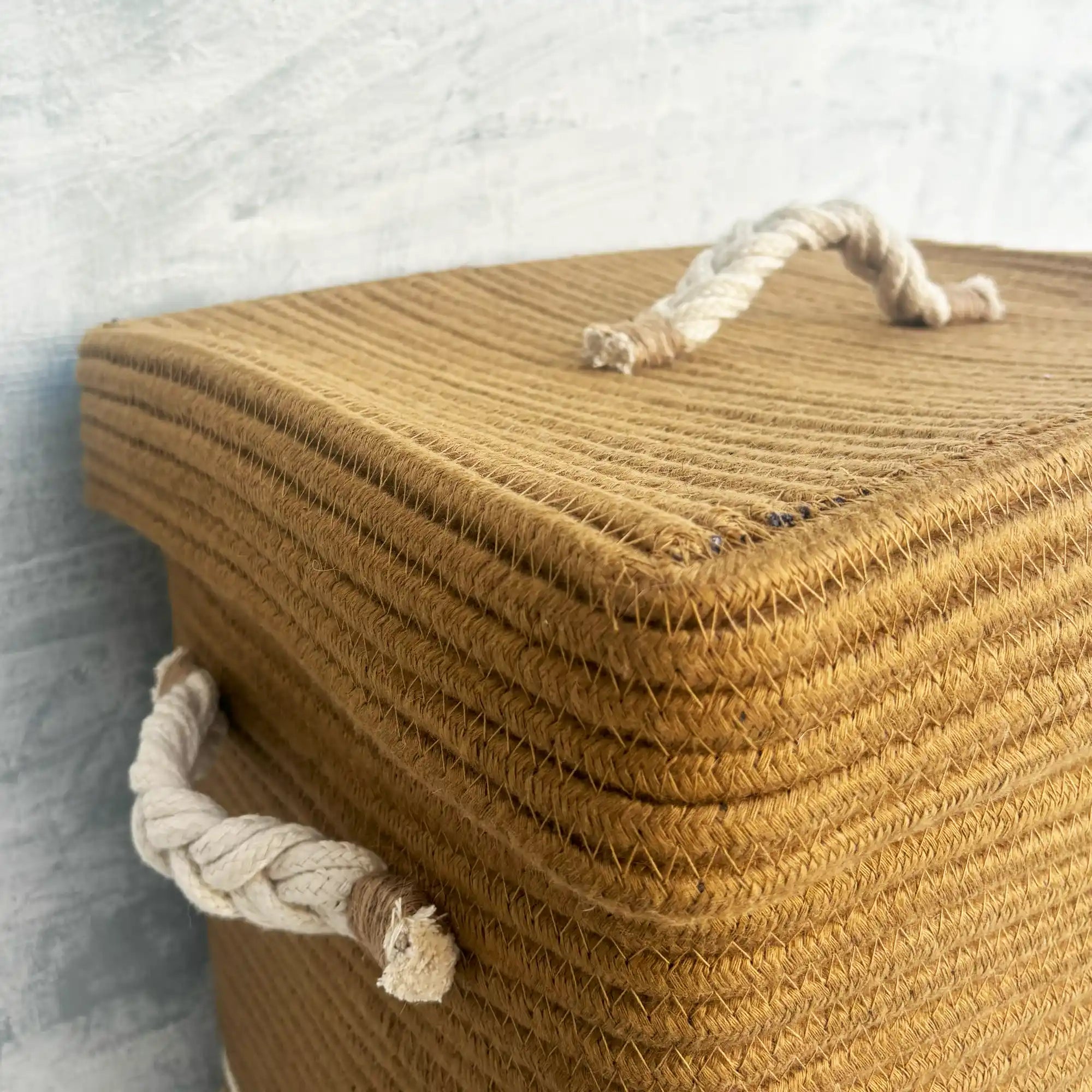 Laundry Basket with Handles