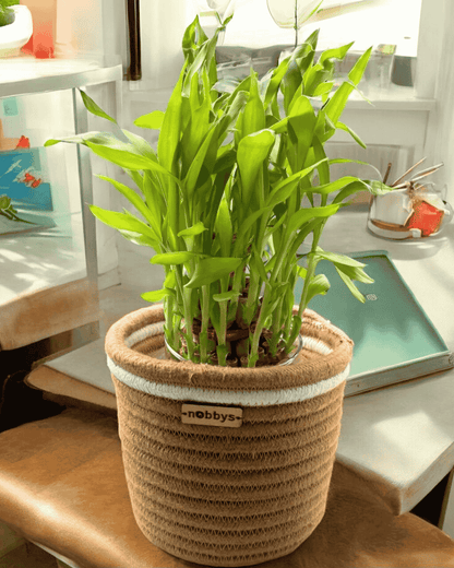 raffia plant pots Nobbys Natural Jute Planter with Raffia Embroidery